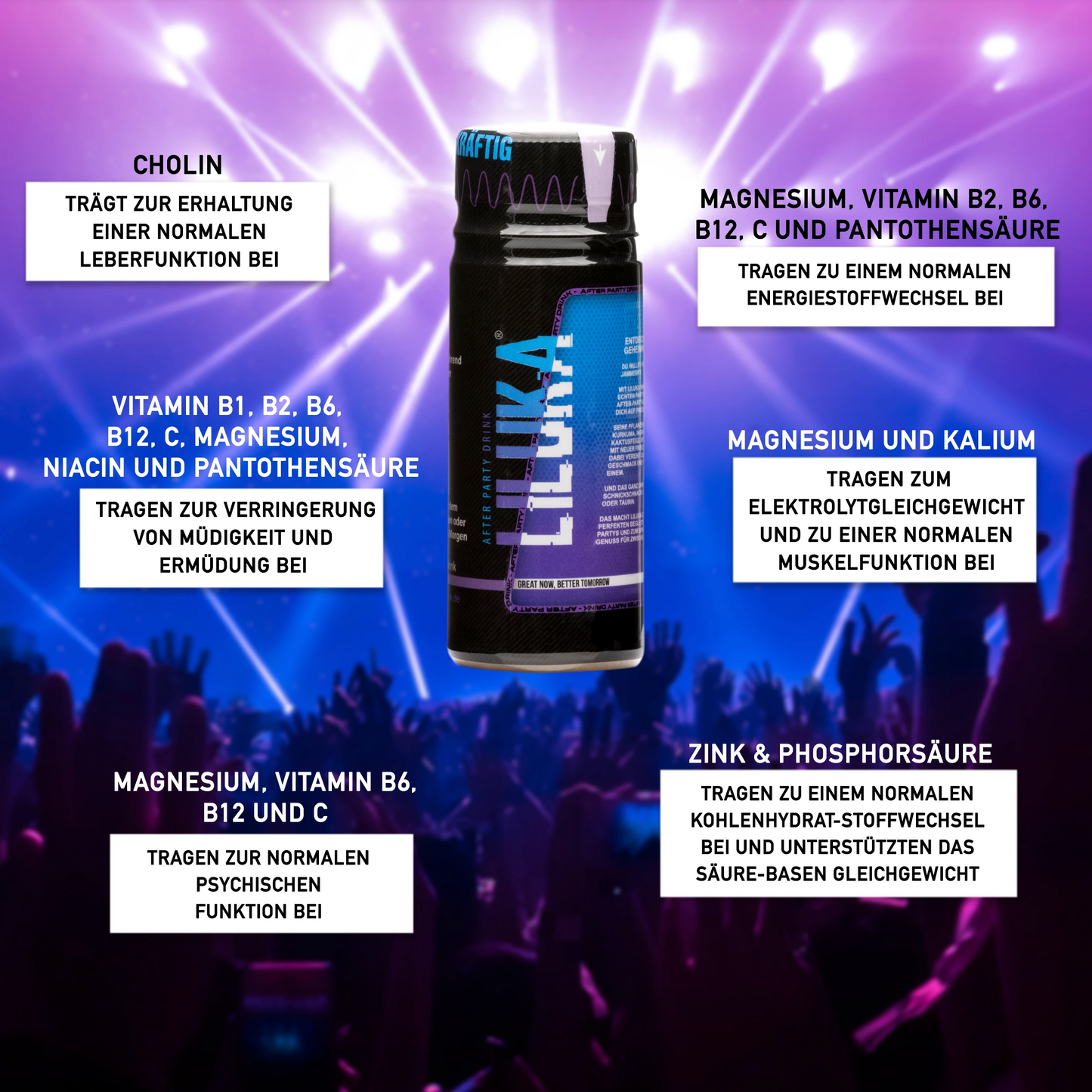 8 x 12er PACKUNG AFTER PARTY SHOTS
